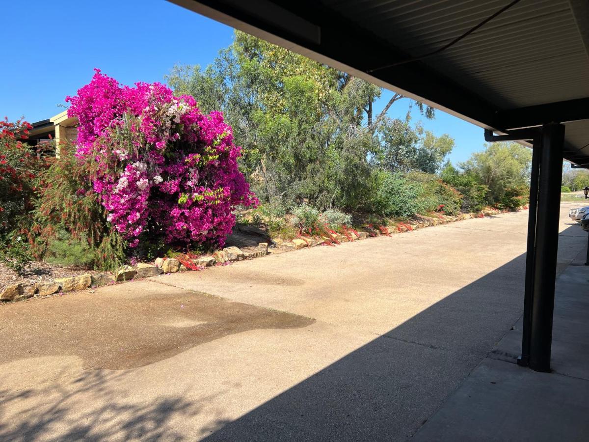 Park Motor Inn-king Beds-pool-shaded Parking Motel 3*