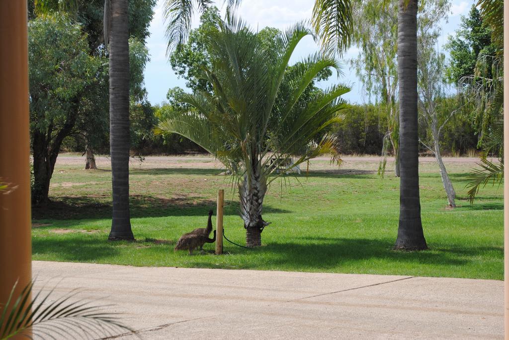 Park Motor Inn-king Beds-pool-shaded Parking 3*