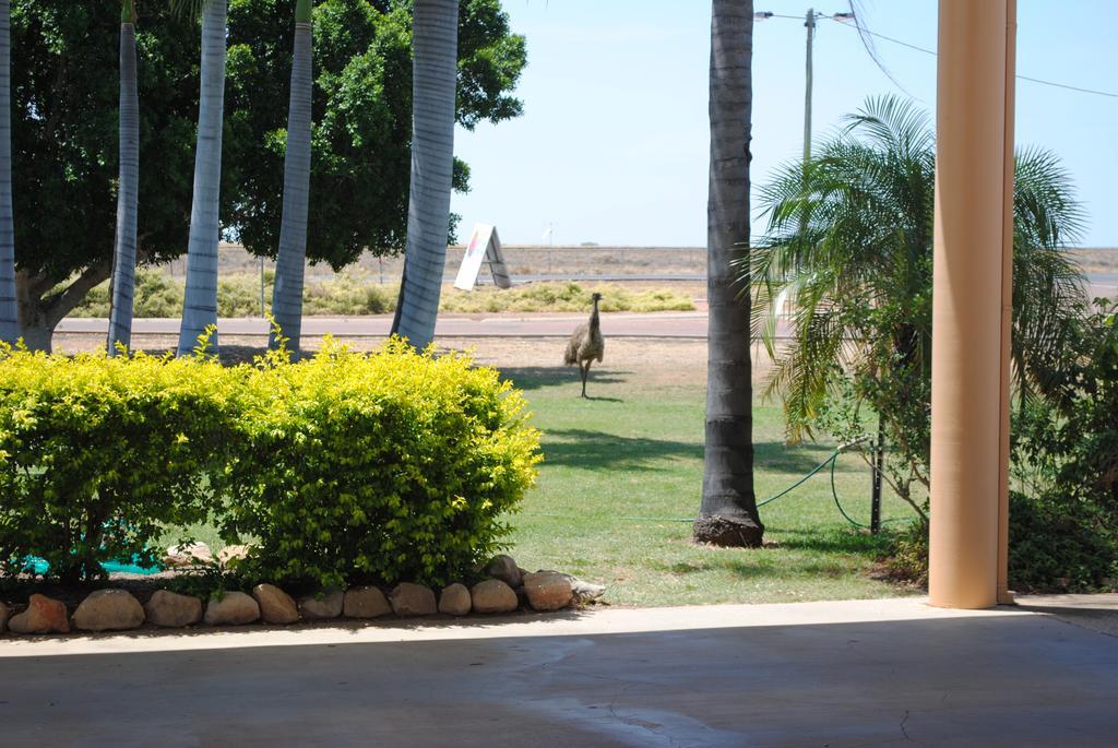 Motel Park Motor Inn-king Beds-pool-shaded Parking